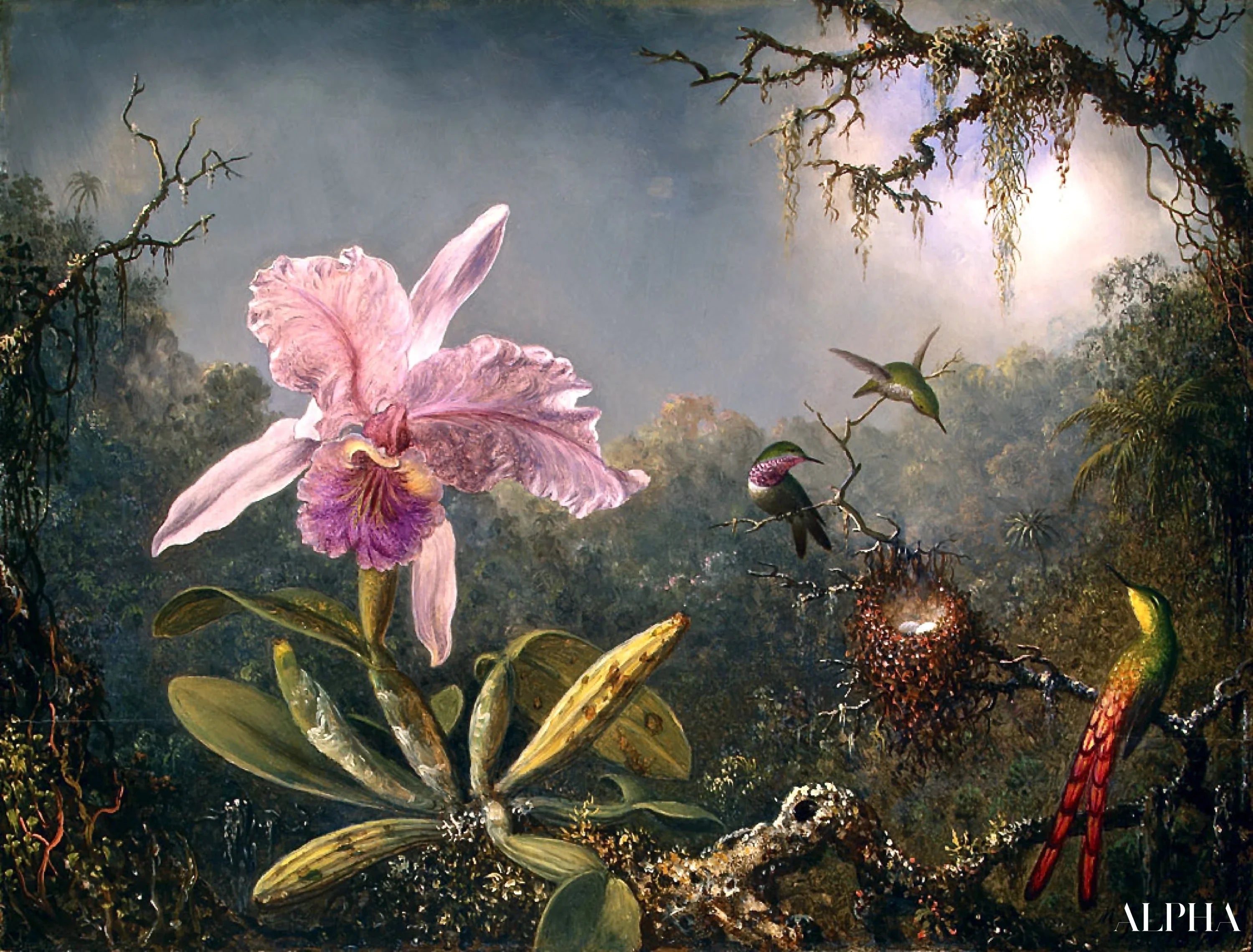 20 Famous Paintings by Martin Johnson Heade