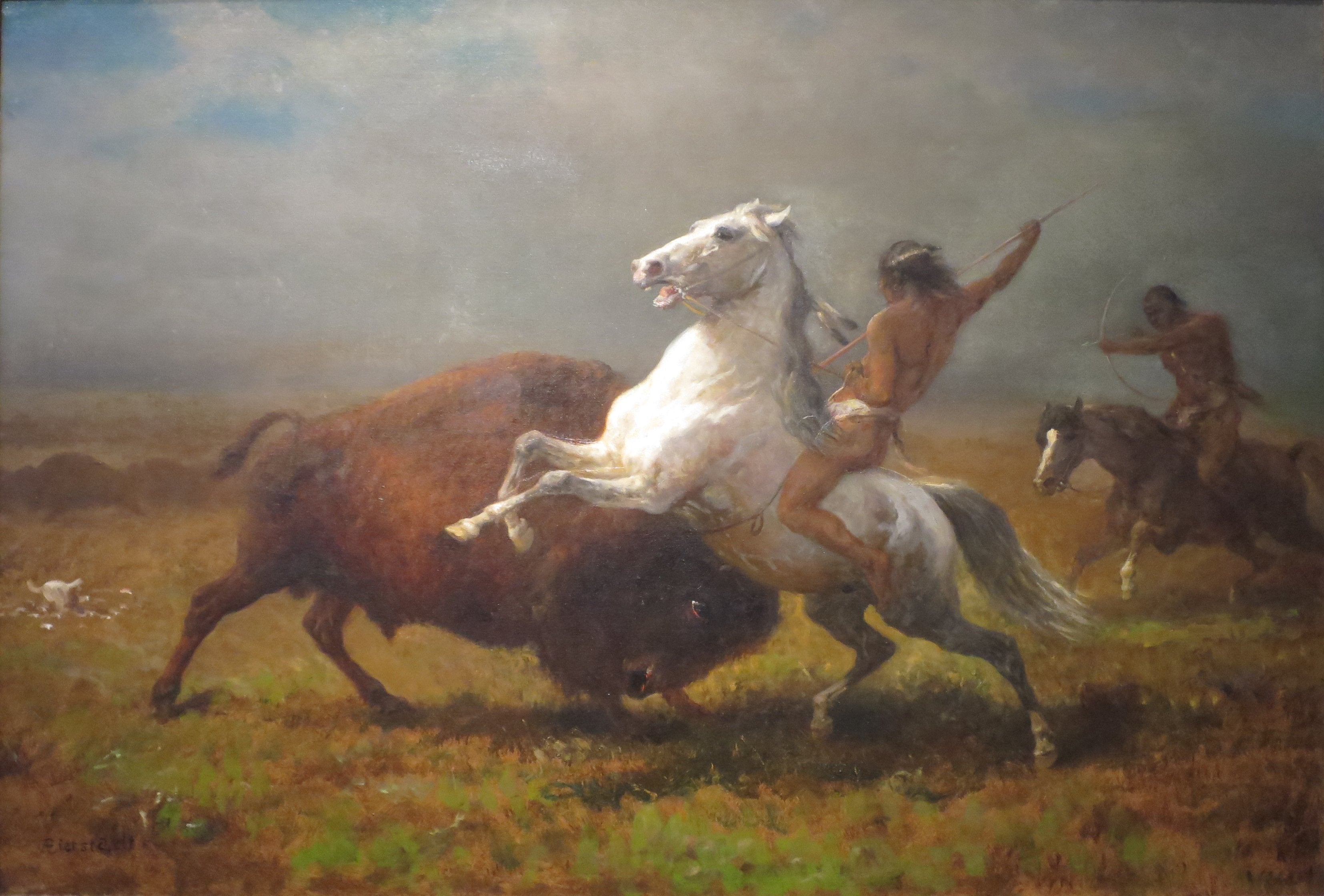 Étude pour "Le Dernier Bison" - Albert Bierstadt