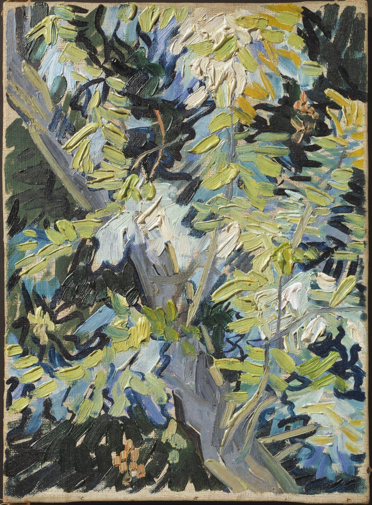 Flowering Acacia Branches - Vincent van Gogh