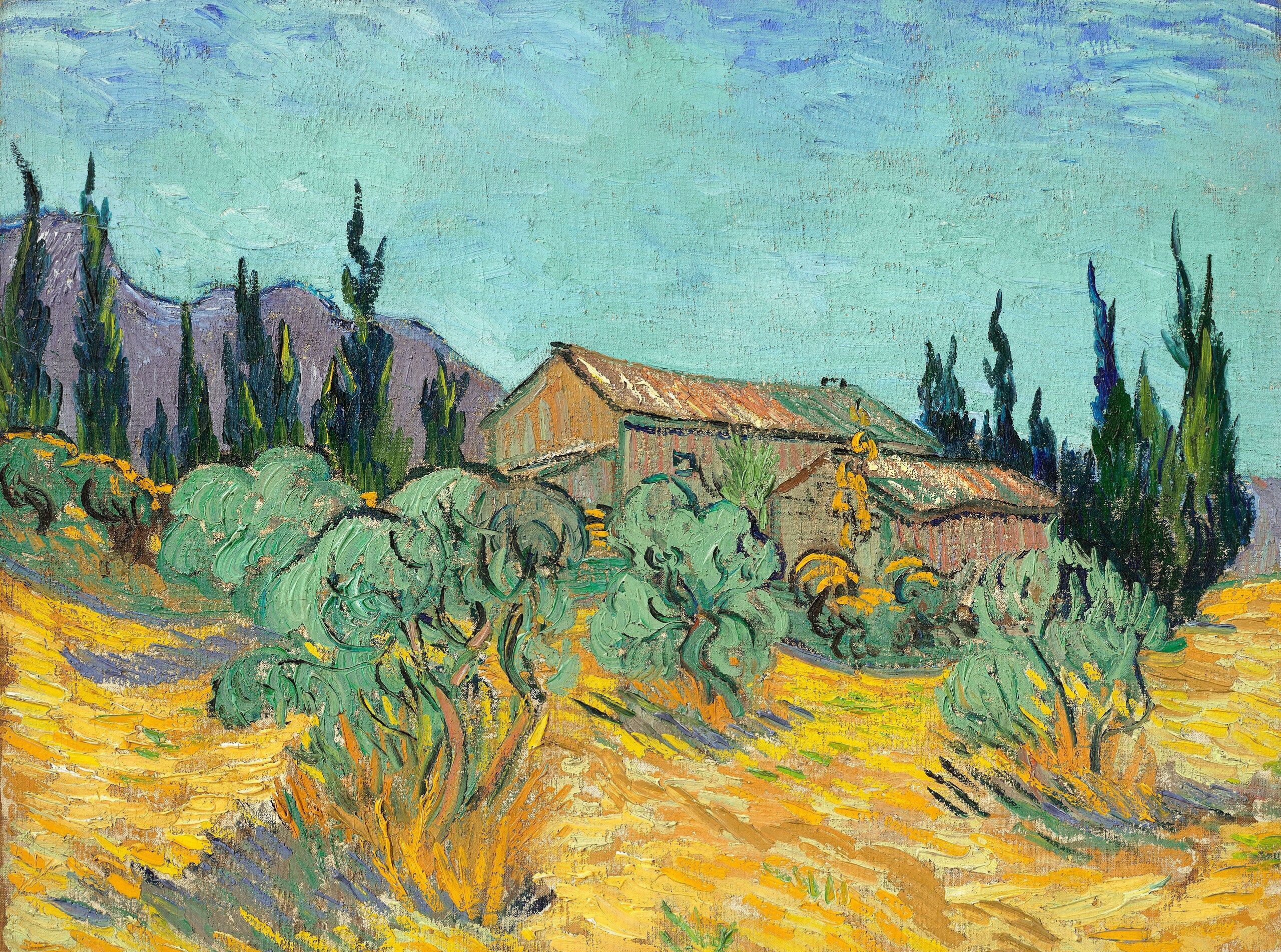 Wooden huts among the olive trees and cypress - Vincent van Gogh