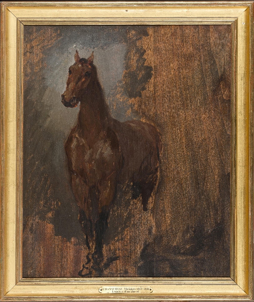 Cheval alezan de face. Étude. - Théodore Chassériau