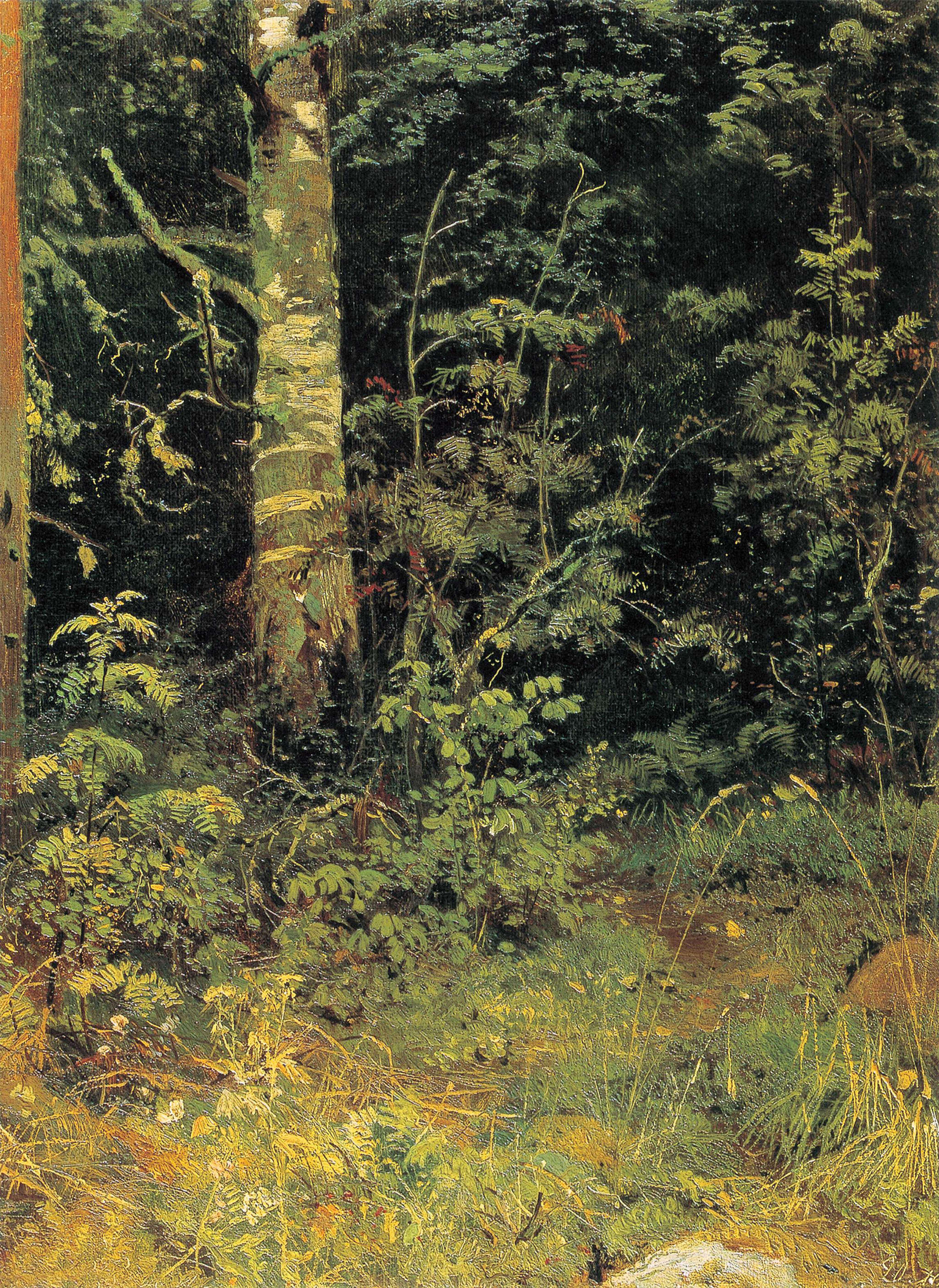 Bouleau et sorbier - Ivan Chichkine