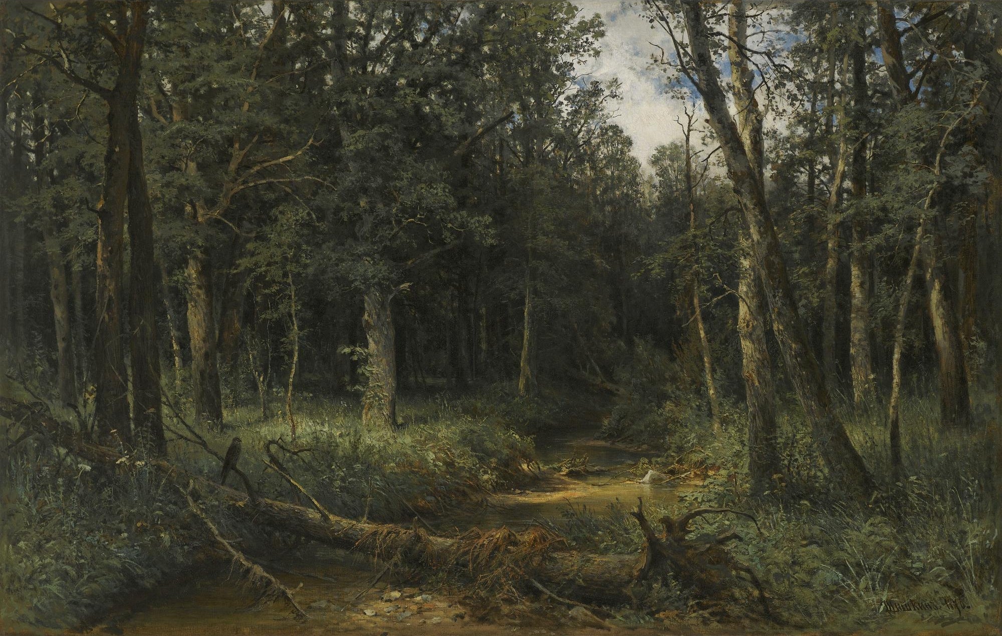 Le Bois Sombre - Ivan Chichkine