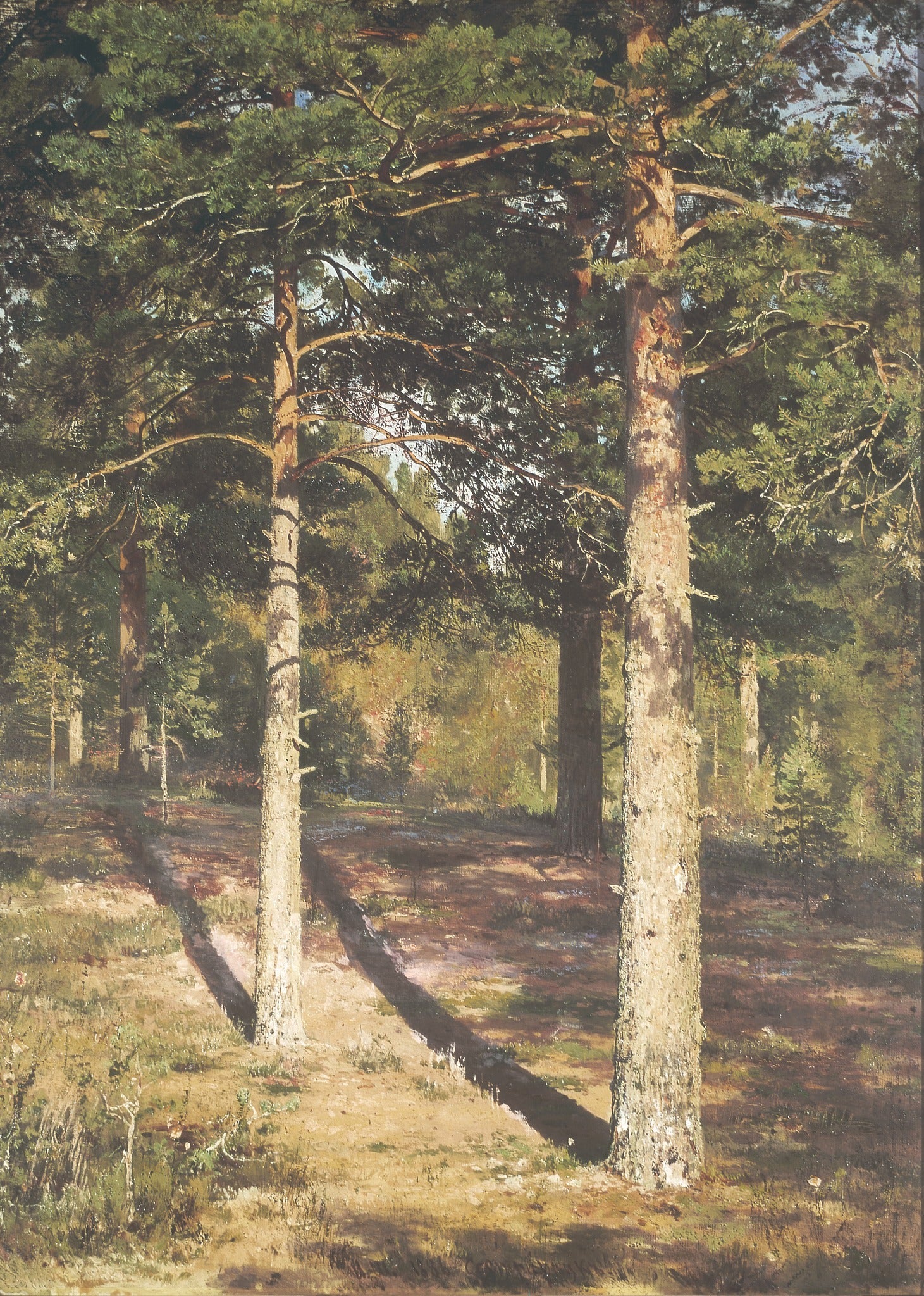 Les pins ensoleillés - Ivan Chichkine