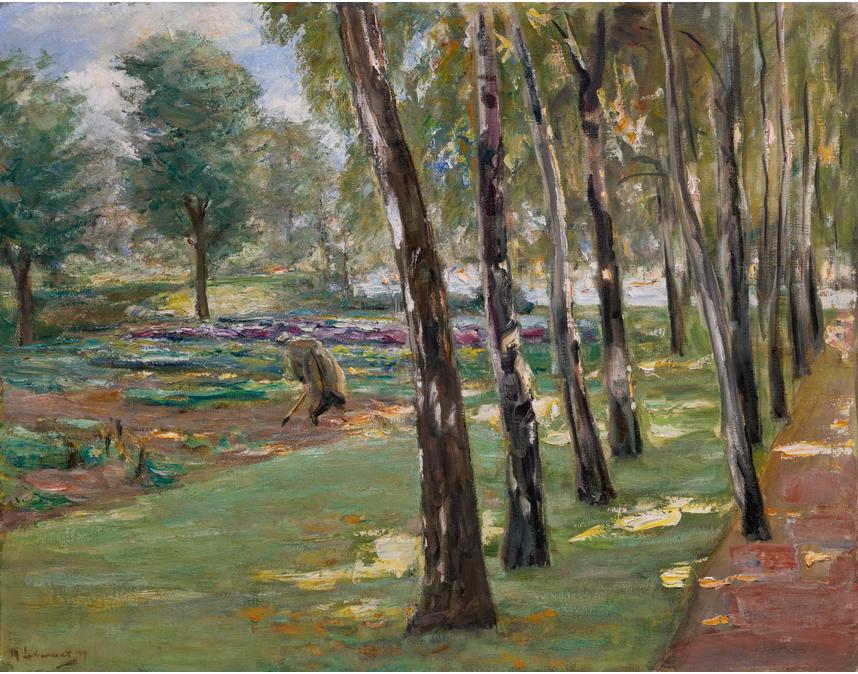 Une allée de bouleaux dans le jardin de Wannsee, vue sur un champ de choux - Max Liebermann