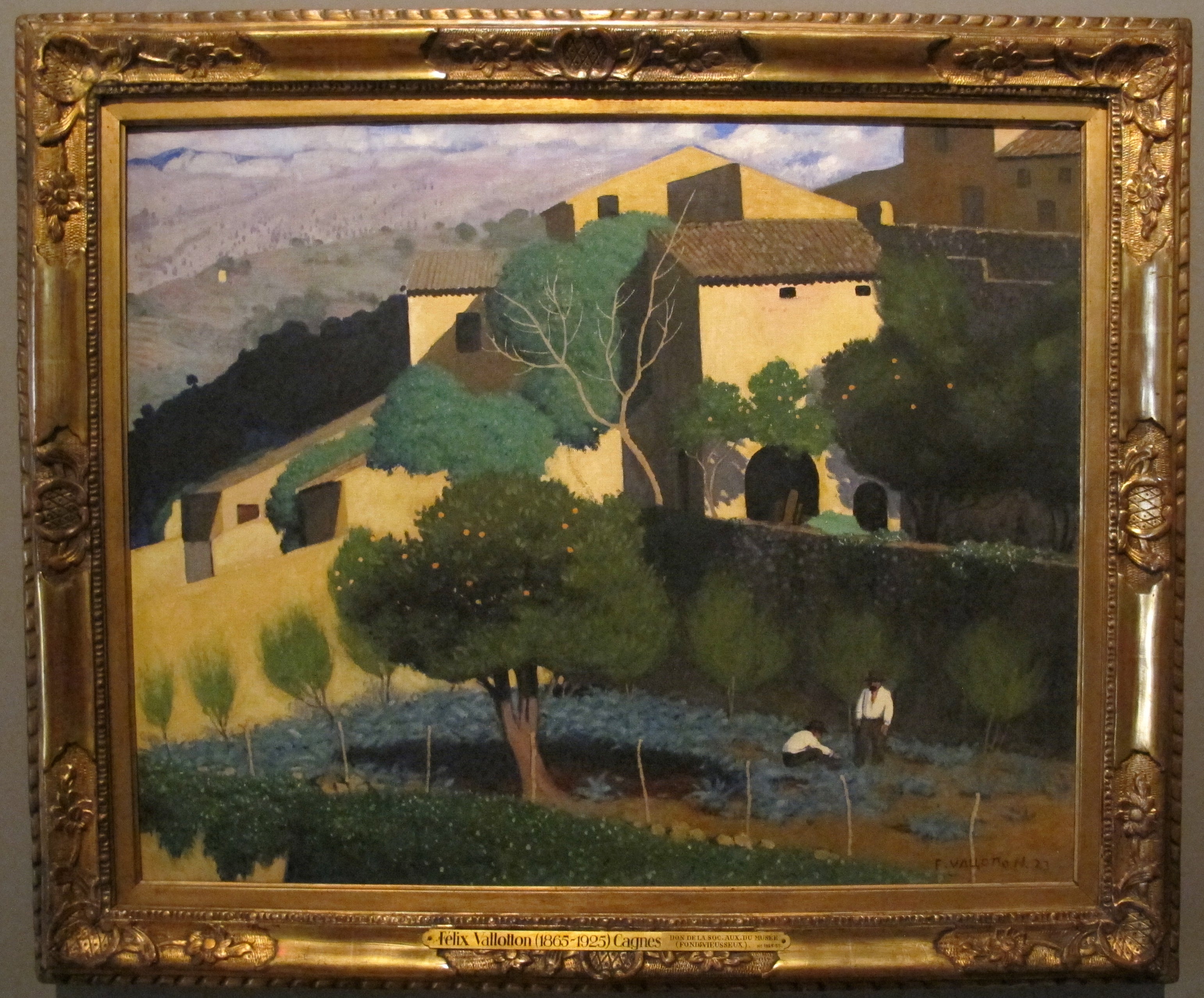 Jardin d'agrumes à Cagnes - Félix Vallotton
