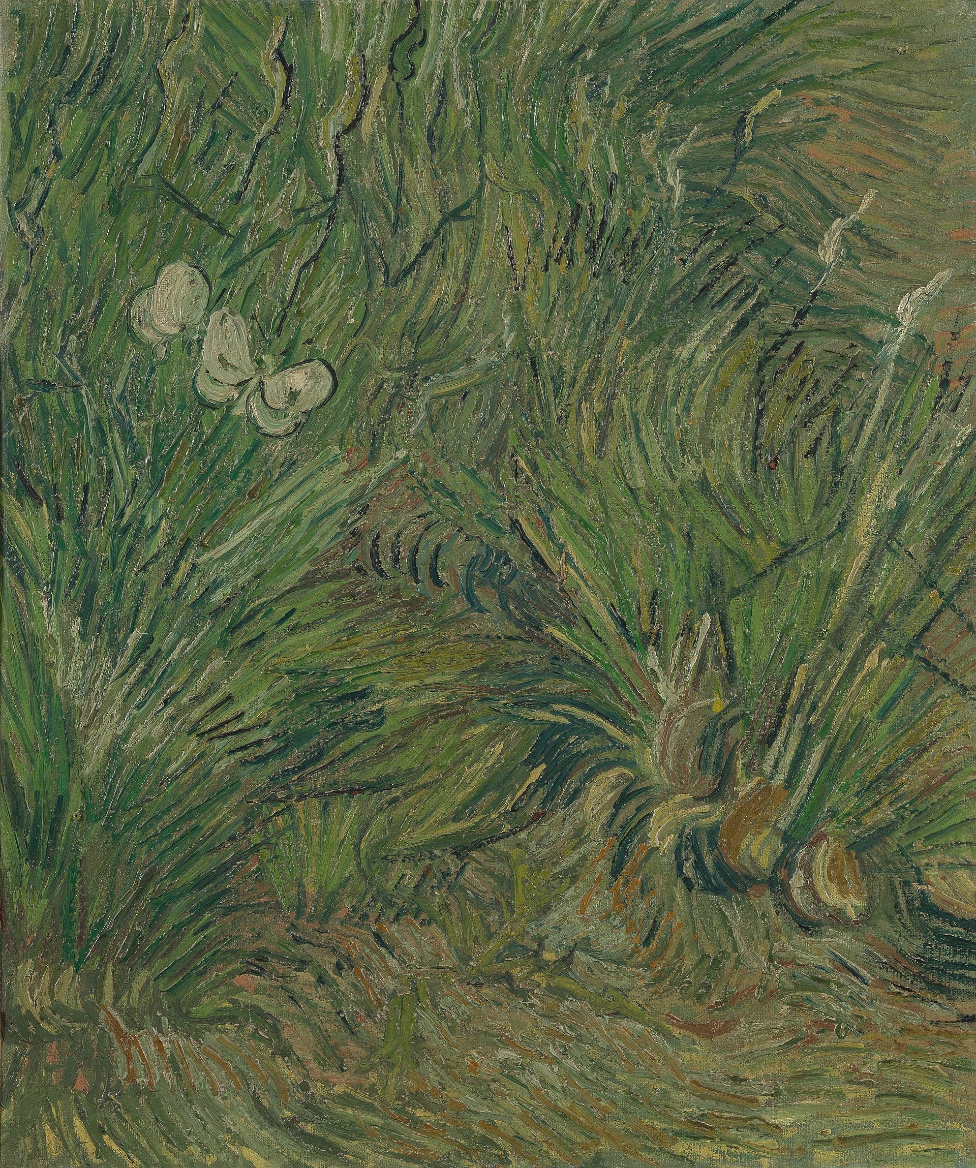 Garden of Butterflies - Vincent van Gogh