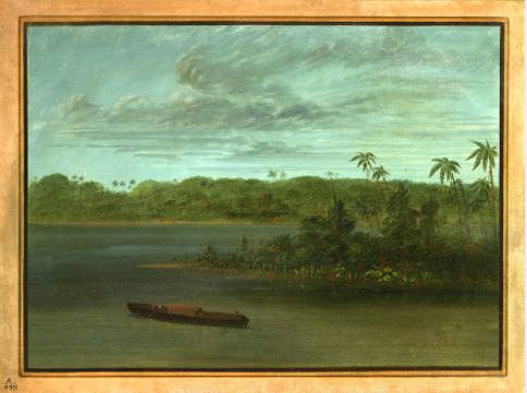 Embouchure du Rio Purus - George Catlin