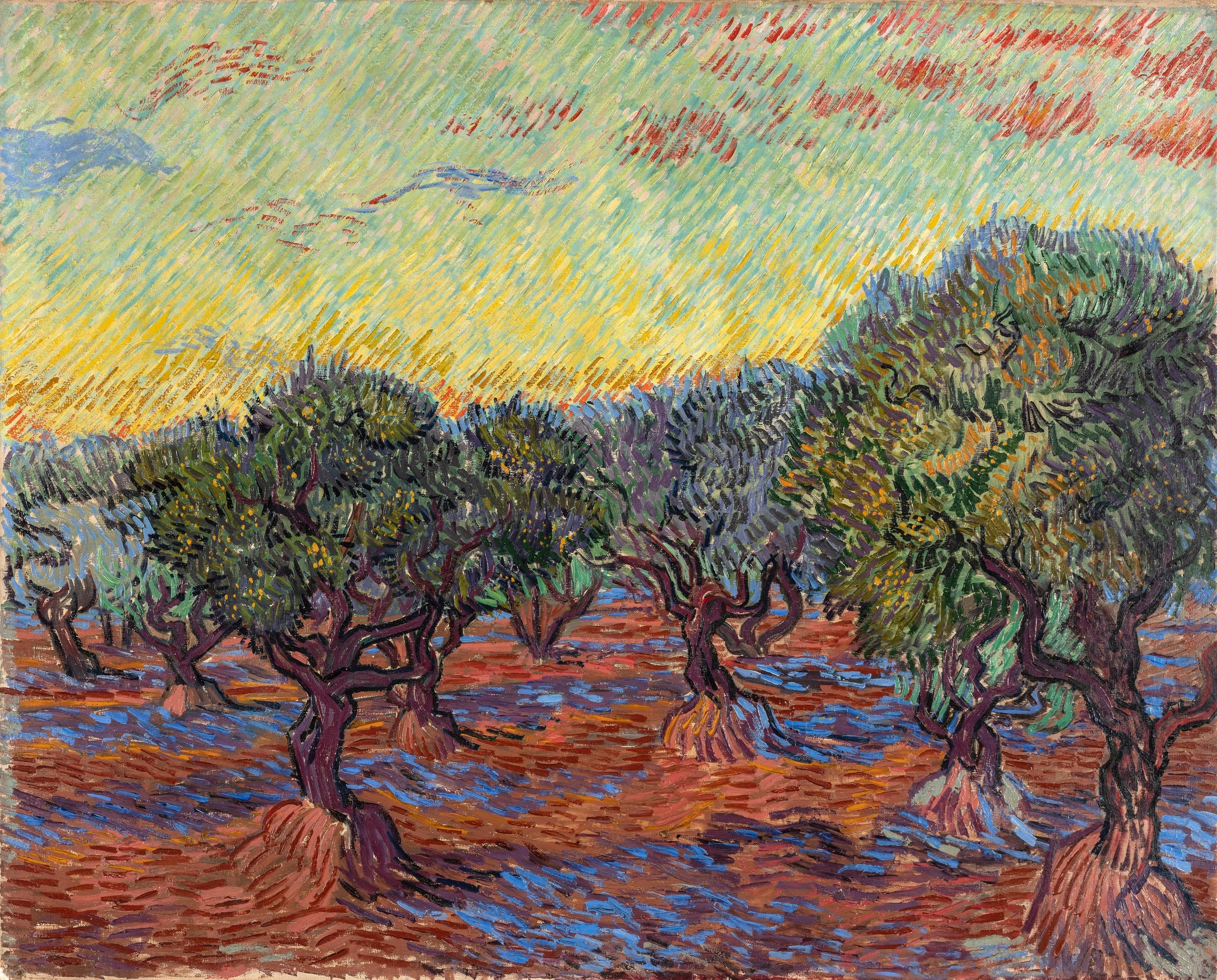 Olive Grove, Saint-Rémy - Vincent van Gogh