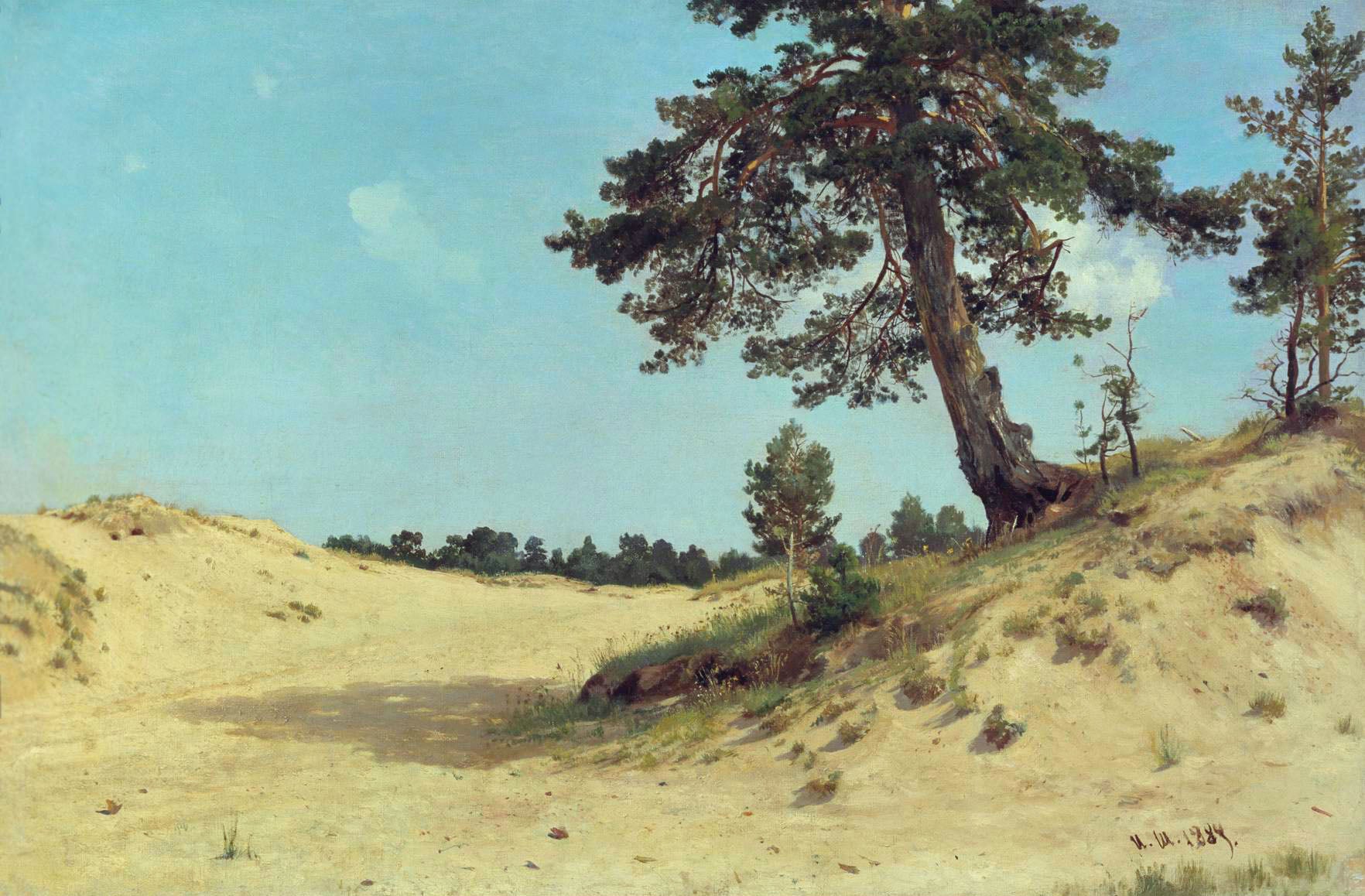 Pin dans le sable - Ivan Chichkine