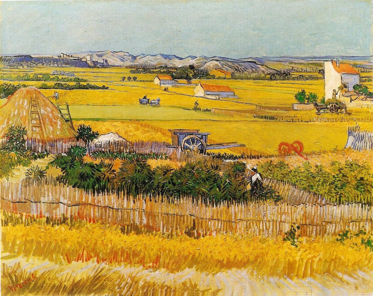 The harvest in La Crau: a day of work by Van Gogh in Arles