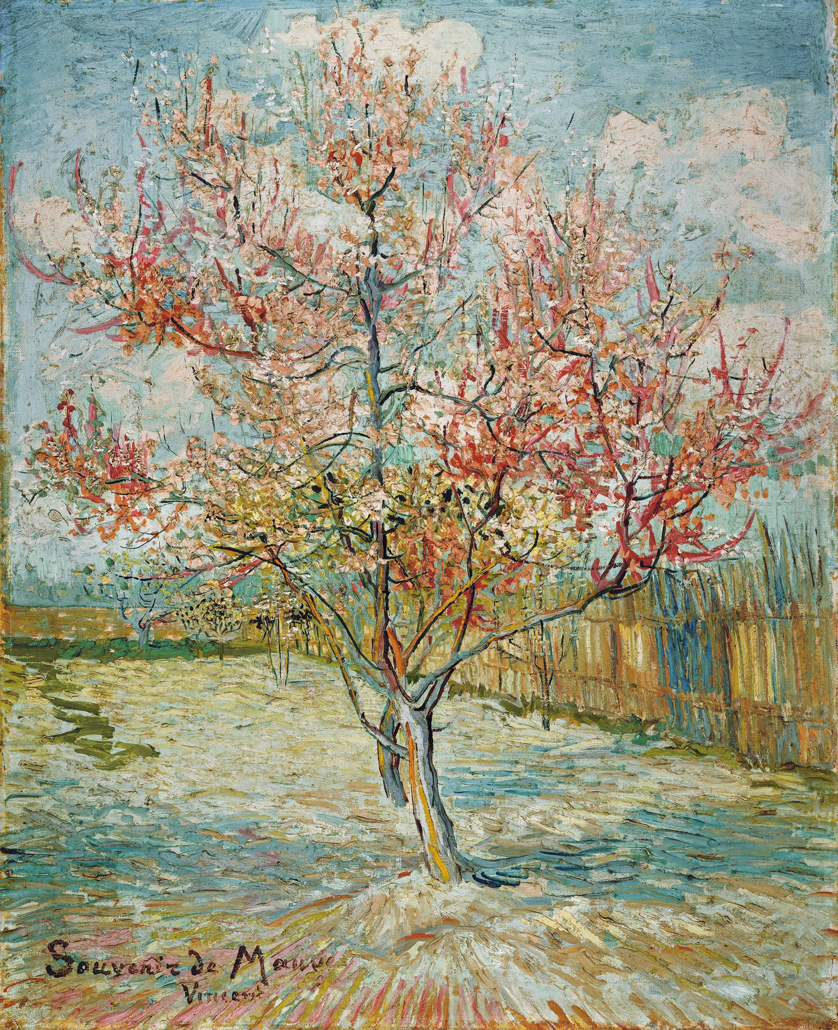 Le Pêcher rose en fleurs, Souvenir de Mauve, peint par Vincent van Gogh à Arles en 1888