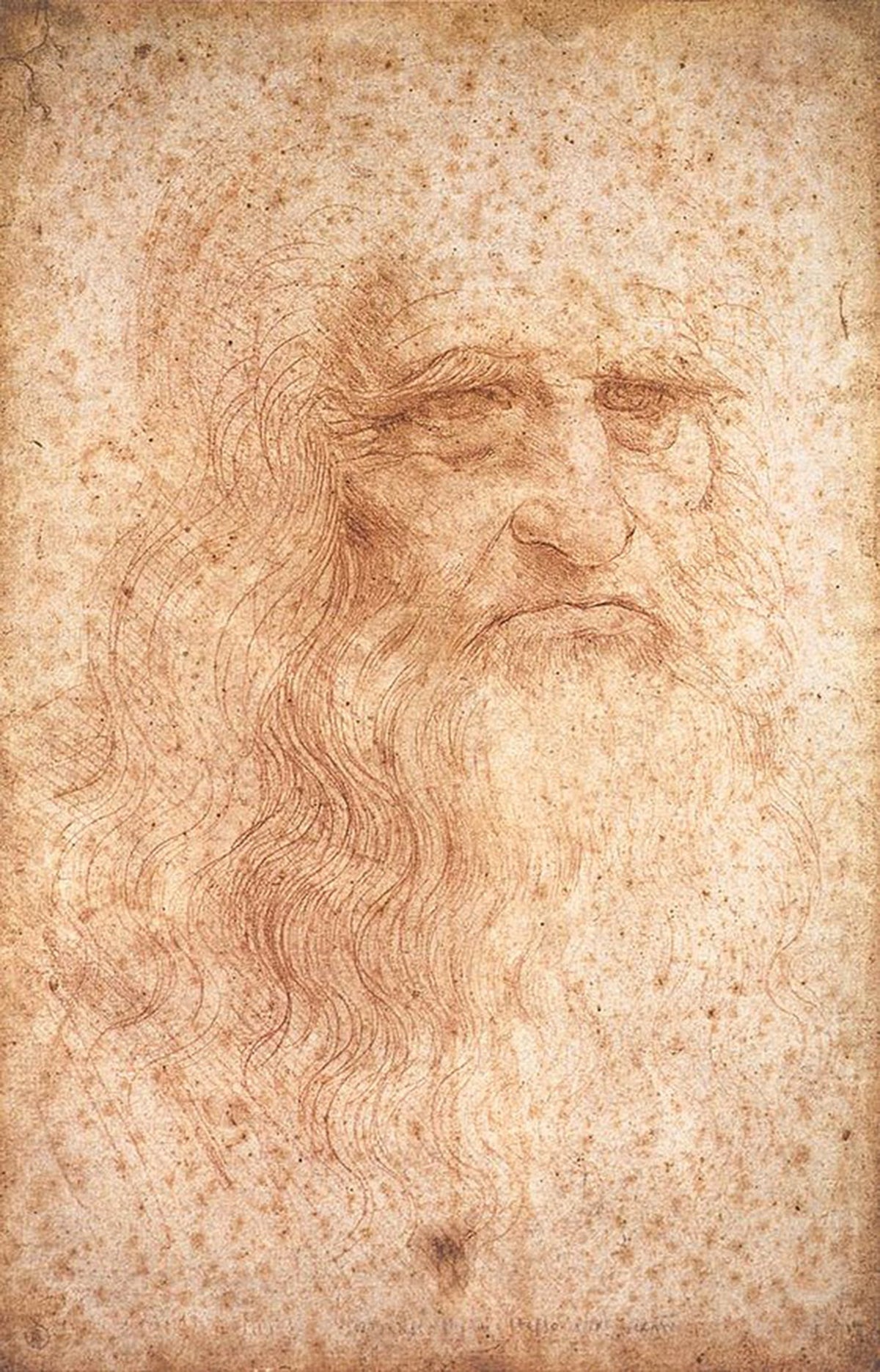 Portrait présumé de Léonard de Vinci et question sur son vrai nom
