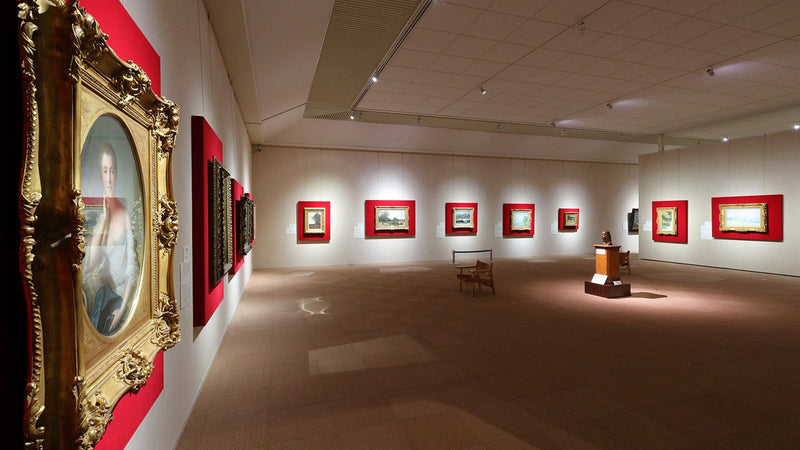 Hikaru Museum