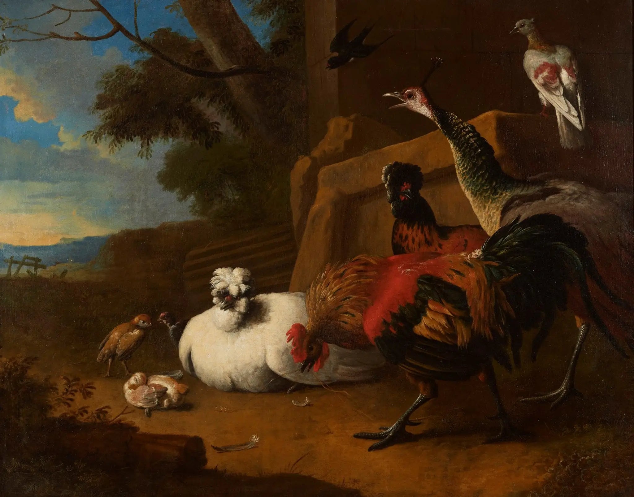La basse-cour - Melchior de Hondecoeter - Alpha Reproduction