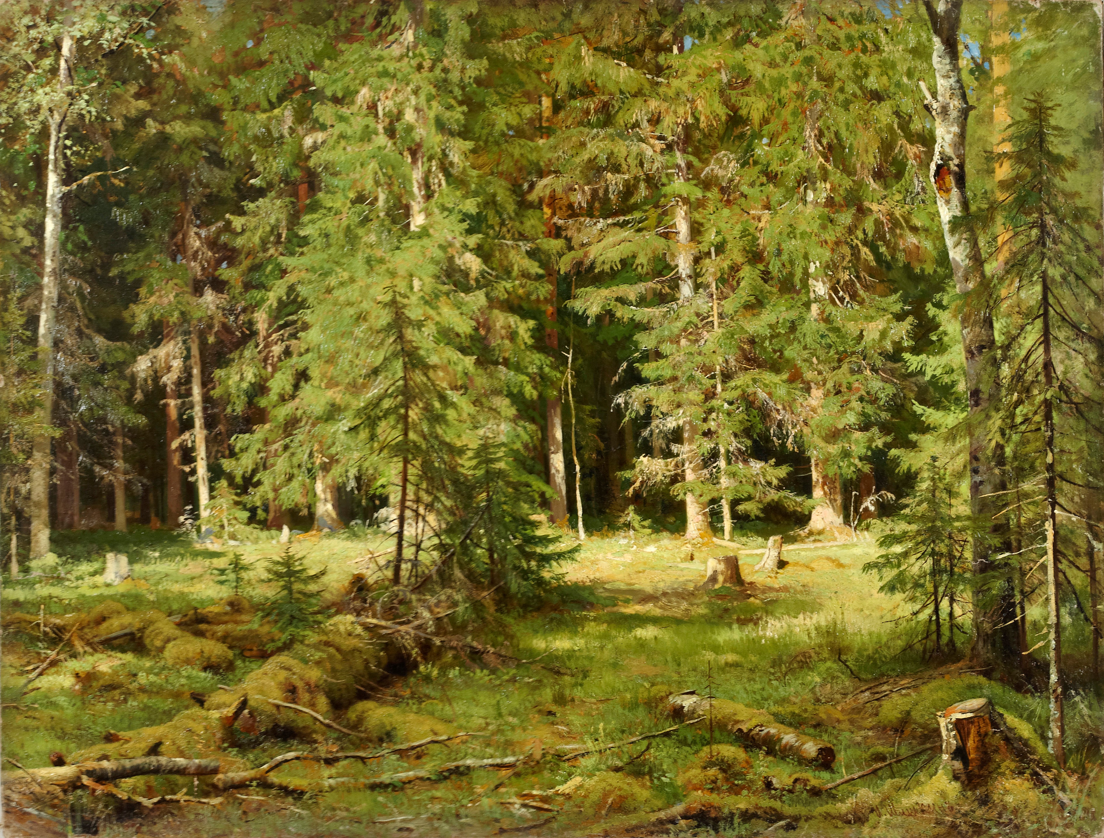 Forêt - Ivan Chichkine
