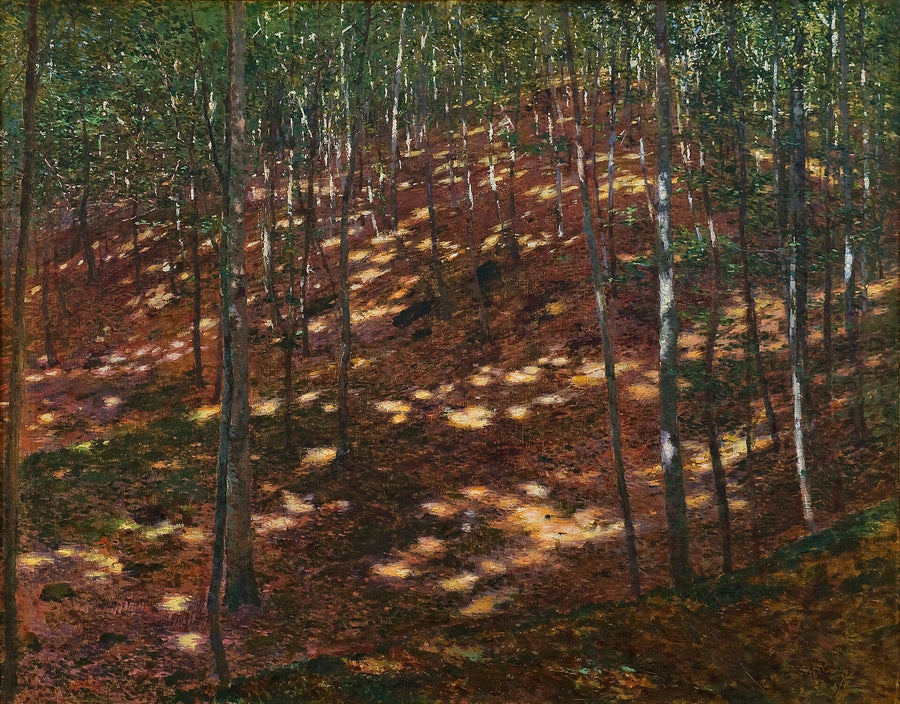 Soleil dans la forêt, Antonín Slavíček, 1898