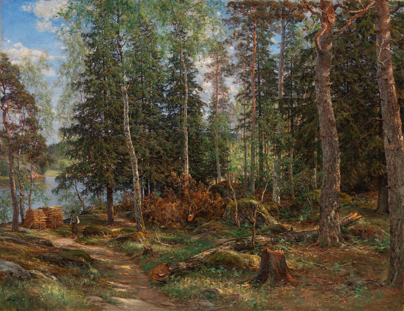 Intérieur de forêt à Laajasalo - Berndt Lindholm