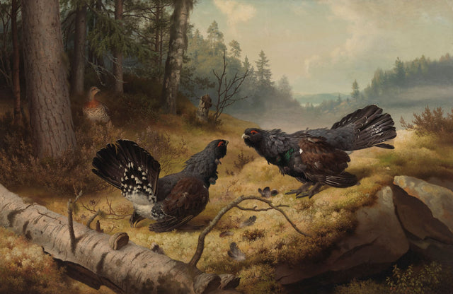 The Great Grouse Fighting - Ferdinand von Wright