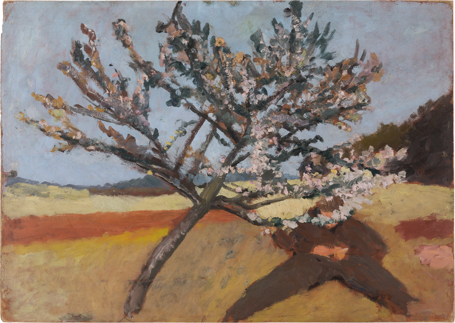 Man lying beneath a Blossoming Tree - Paula Modersohn-Becker
