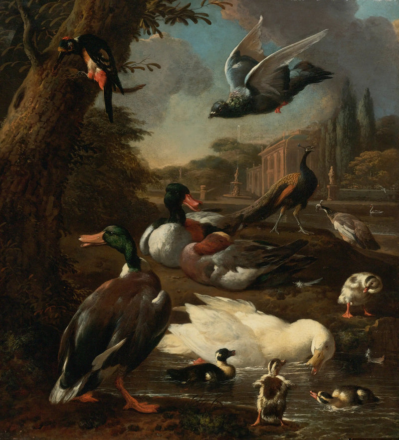 A peacock, a pigeon, ducks, and other birds in a garden - Melchior de Hondecoeter