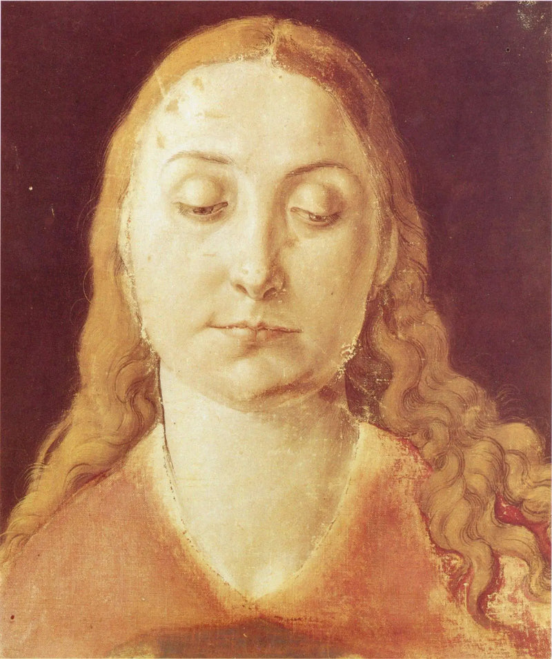 Woman's Head - Albrecht Dürer