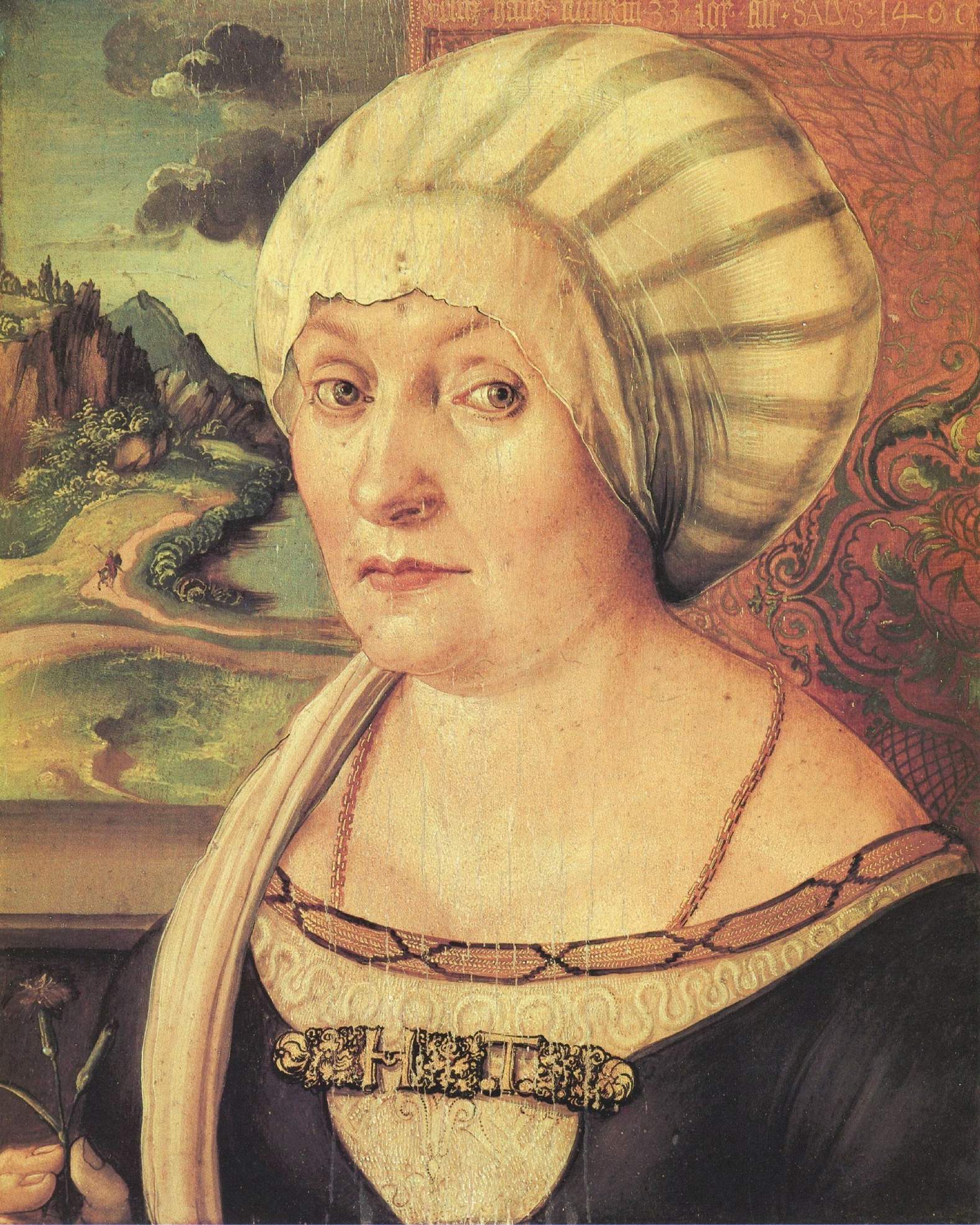 Congratulations Tucher - Albrecht Dürer