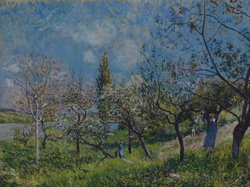 An Orchard in Spring, By - Alfred Sisley