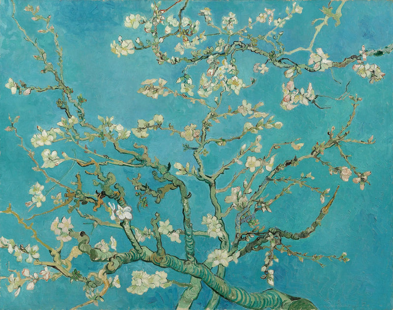 Almond Blossom - Vincent van Gogh