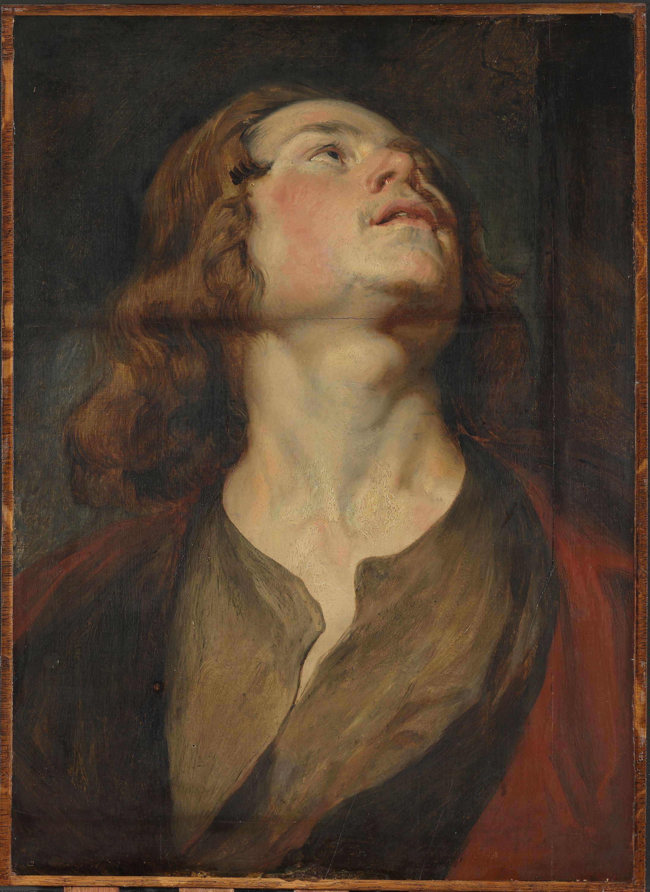 Tête de Saint Jean - Antoine van Dyck