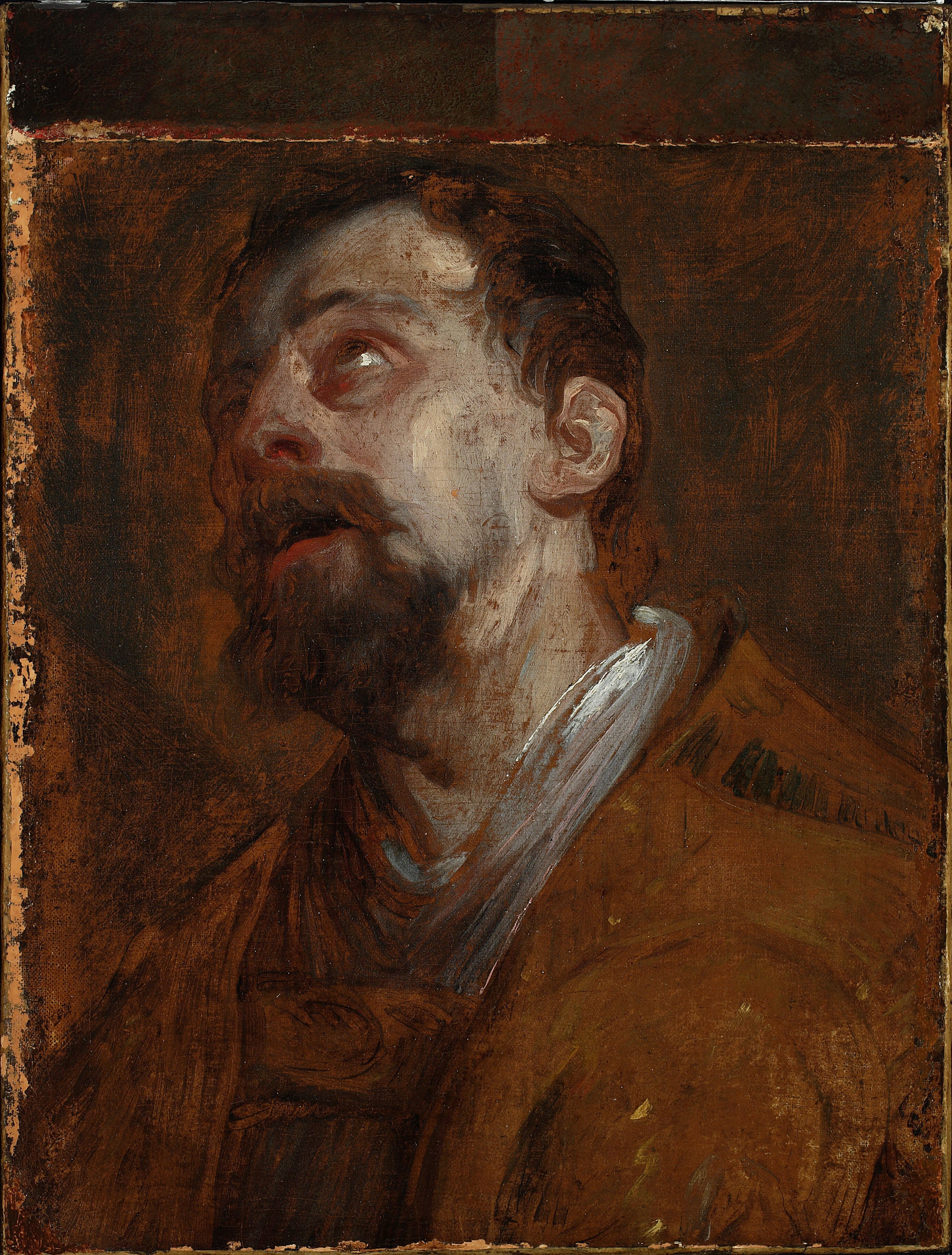 Etude d'un Saint (Saint-Hubert ?) (détail). - Antoine van Dyck