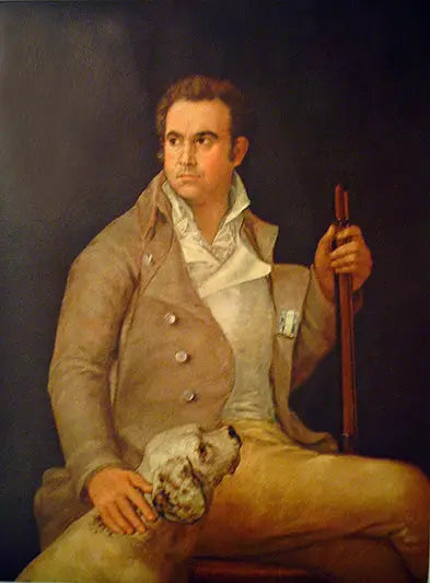 Portrait of Antonio de Porcel - Francisco de Goya