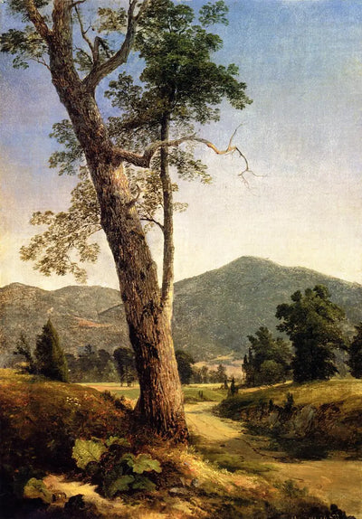 Paysage au-delà de l’arbre - Asher Brown Durand - Alpha Reproduction