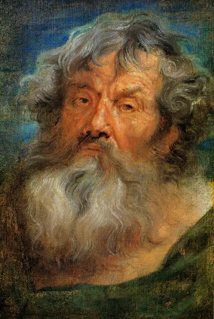 Head of an Old Man - Antoine van Dyck