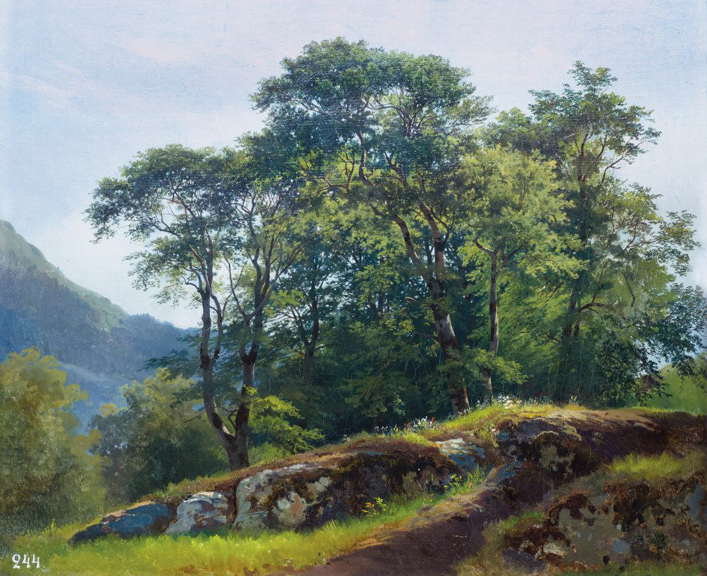 Forêt de hêtres en Suisse - Ivan Chichkine
