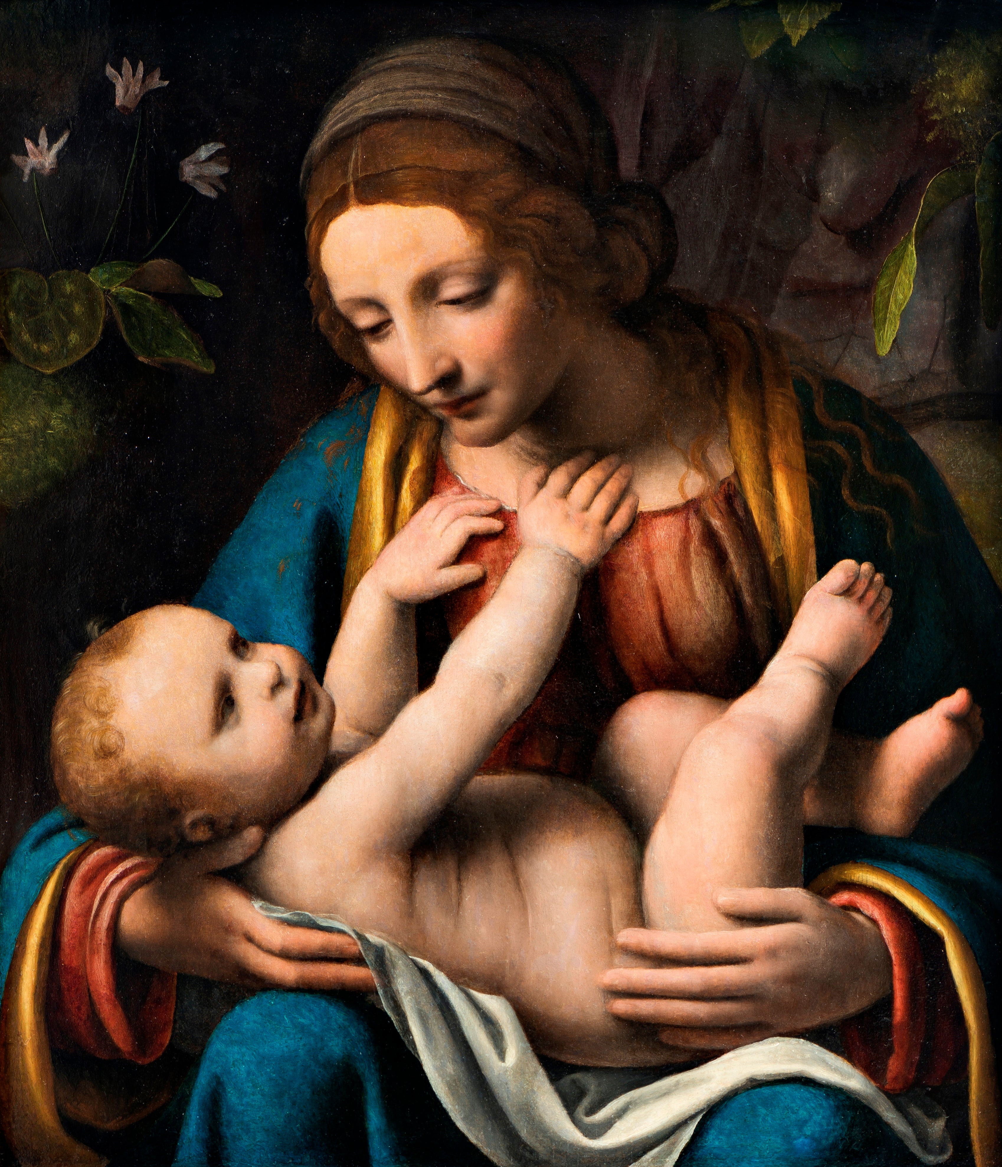 La Vierge à l'Enfant - Bernardino Luini