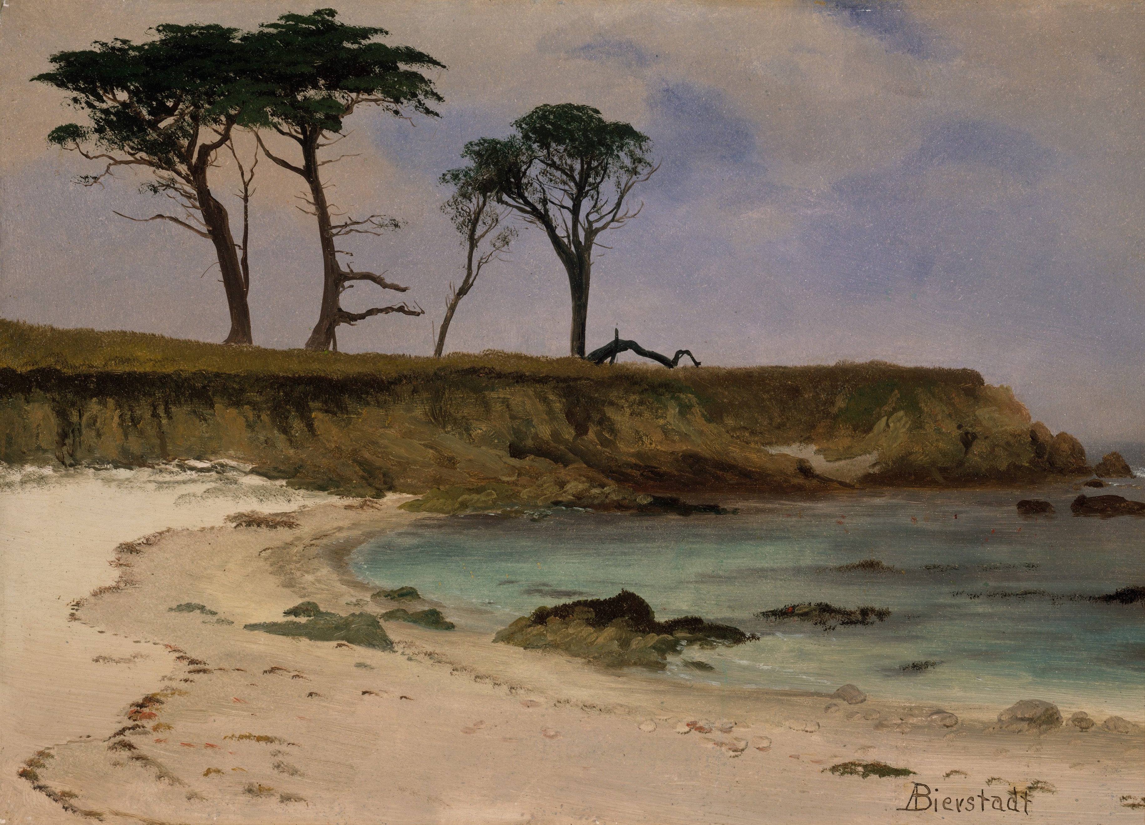 Crique de la mer - Albert Bierstadt