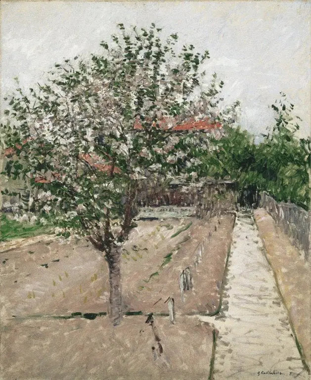 Flowering Apple Tree - Gustave Caillebotte