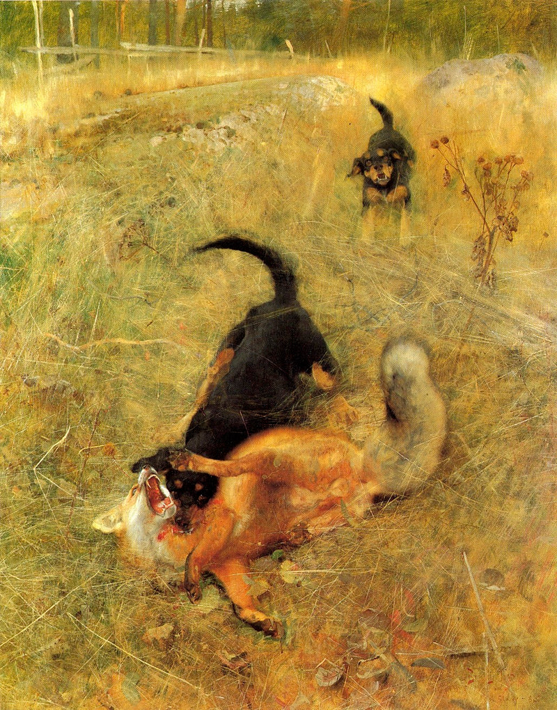 Swedish Foxhound and Fox - Bruno Liljefors