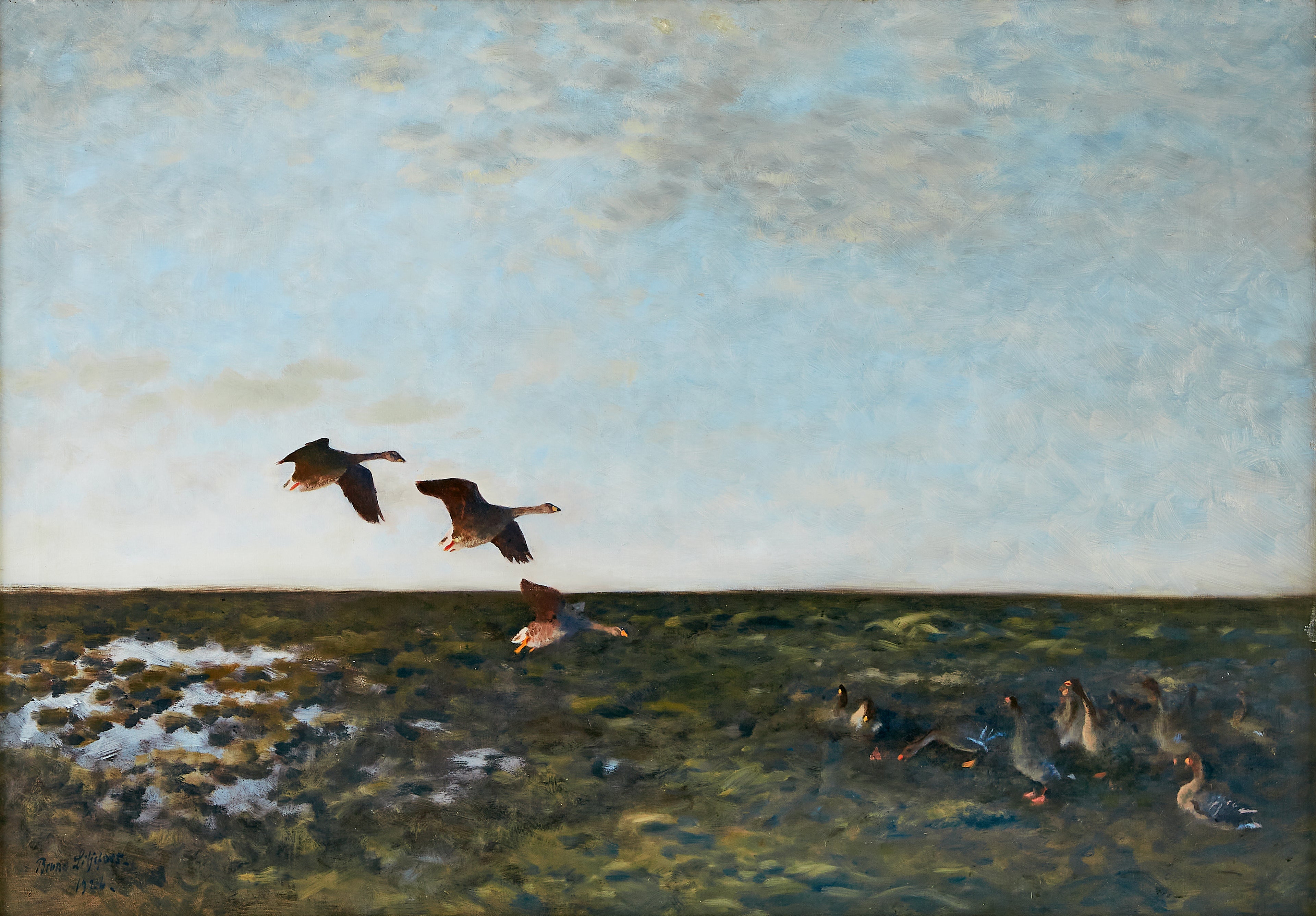 Bean geese - Bruno Liljefors