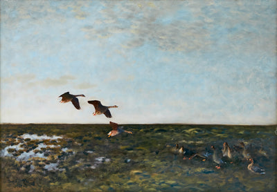 Bean geese - Bruno Liljefors