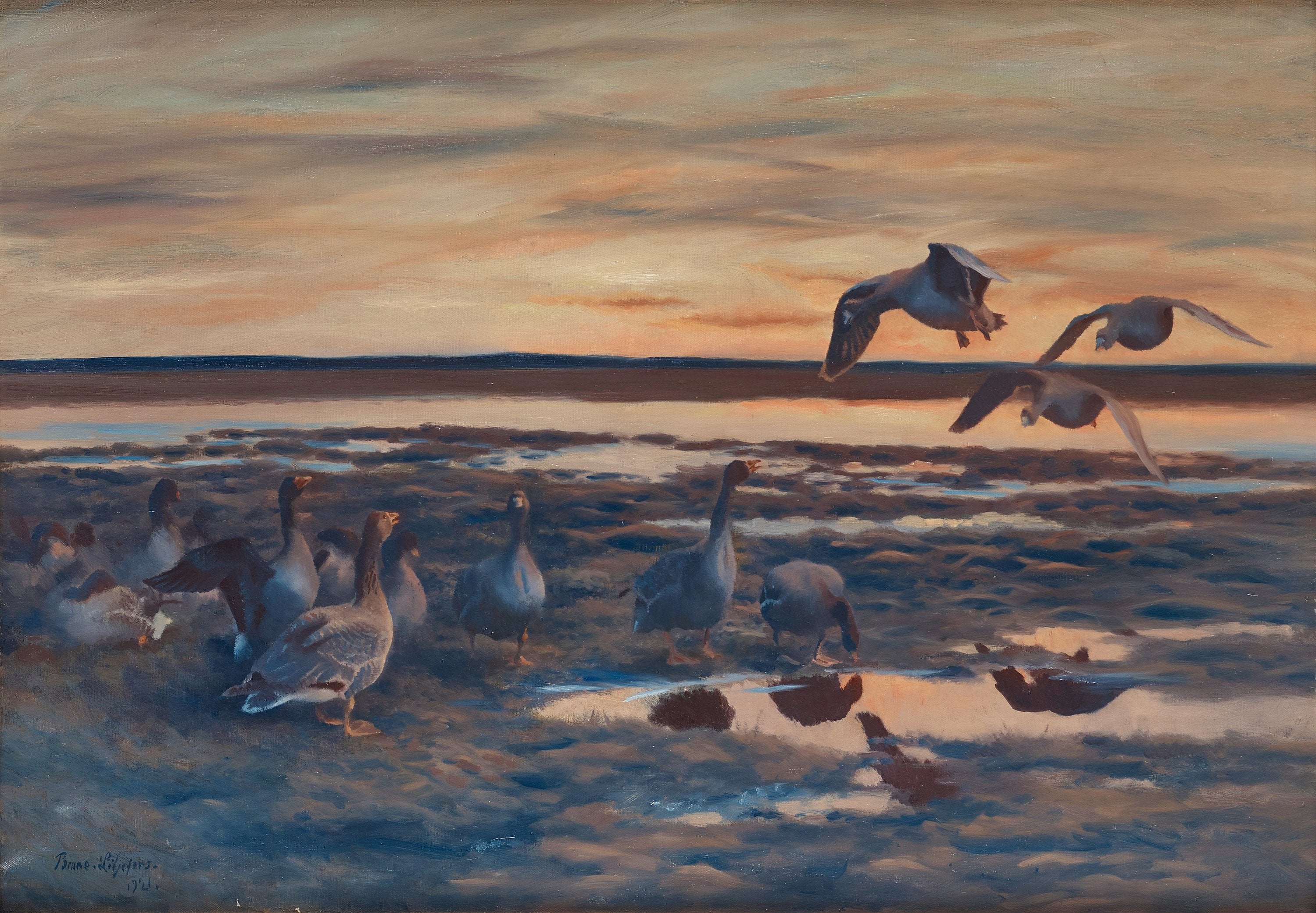 Bean geese - Bruno Liljefors