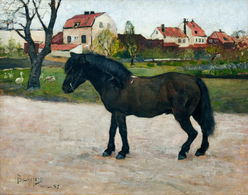 Black Pony - Bruno Liljefors