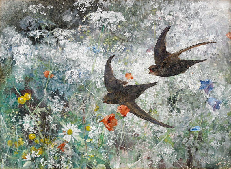 Black Swifts - Bruno Liljefors