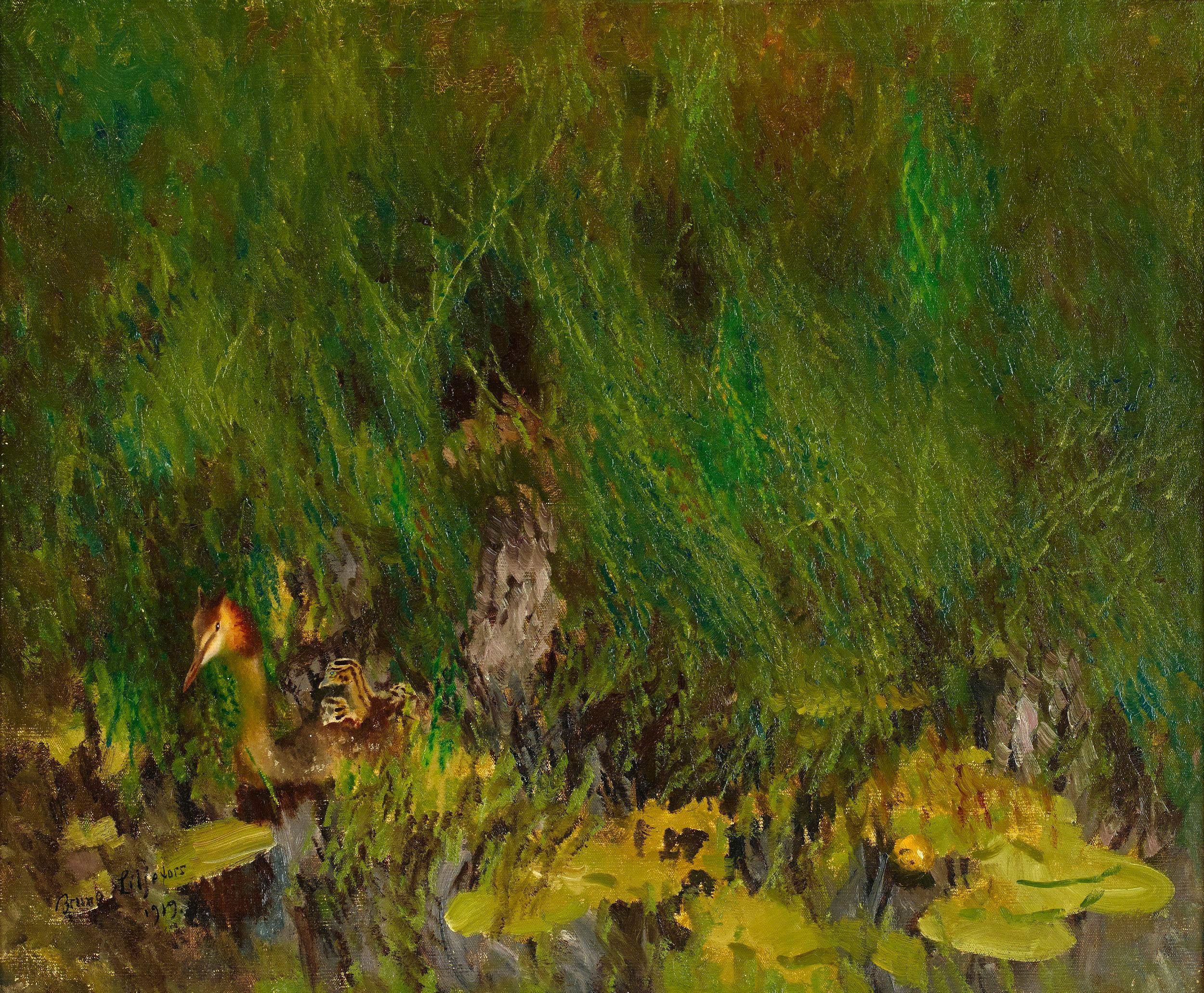 Great crested grebe - Bruno Liljefors