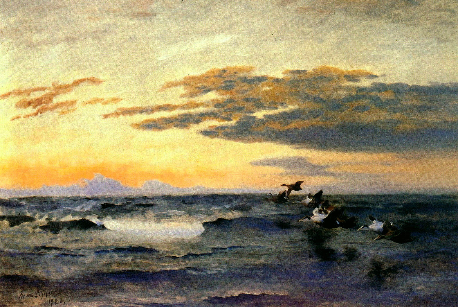 Eiders at sunrise - Bruno Liljefors