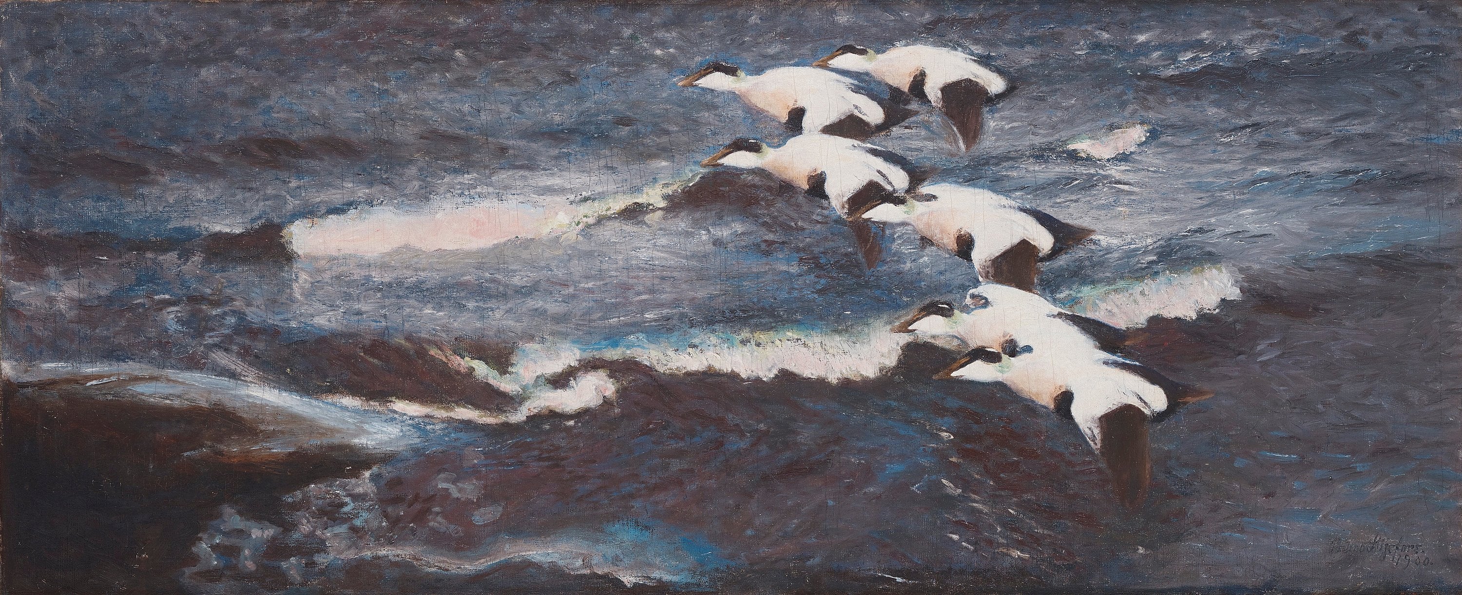 Eiders in the waves - Bruno Liljefors