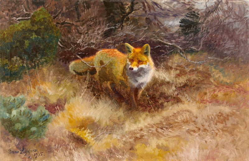 The fox and the landscape - Bruno Liljefors