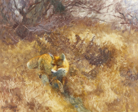 Fox in an Autumn Landscape - Bruno Liljefors