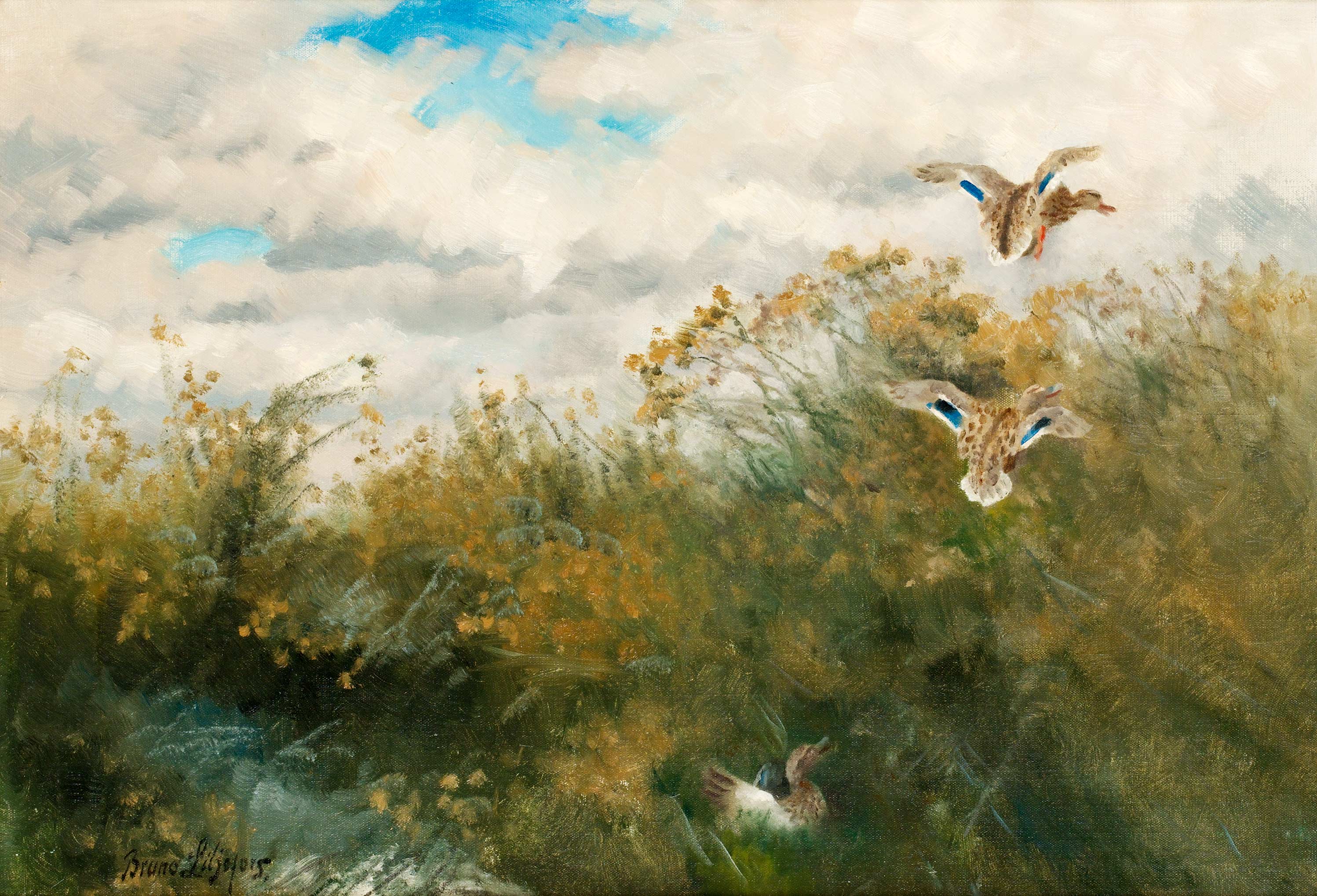 Q135213000 - Bruno Liljefors